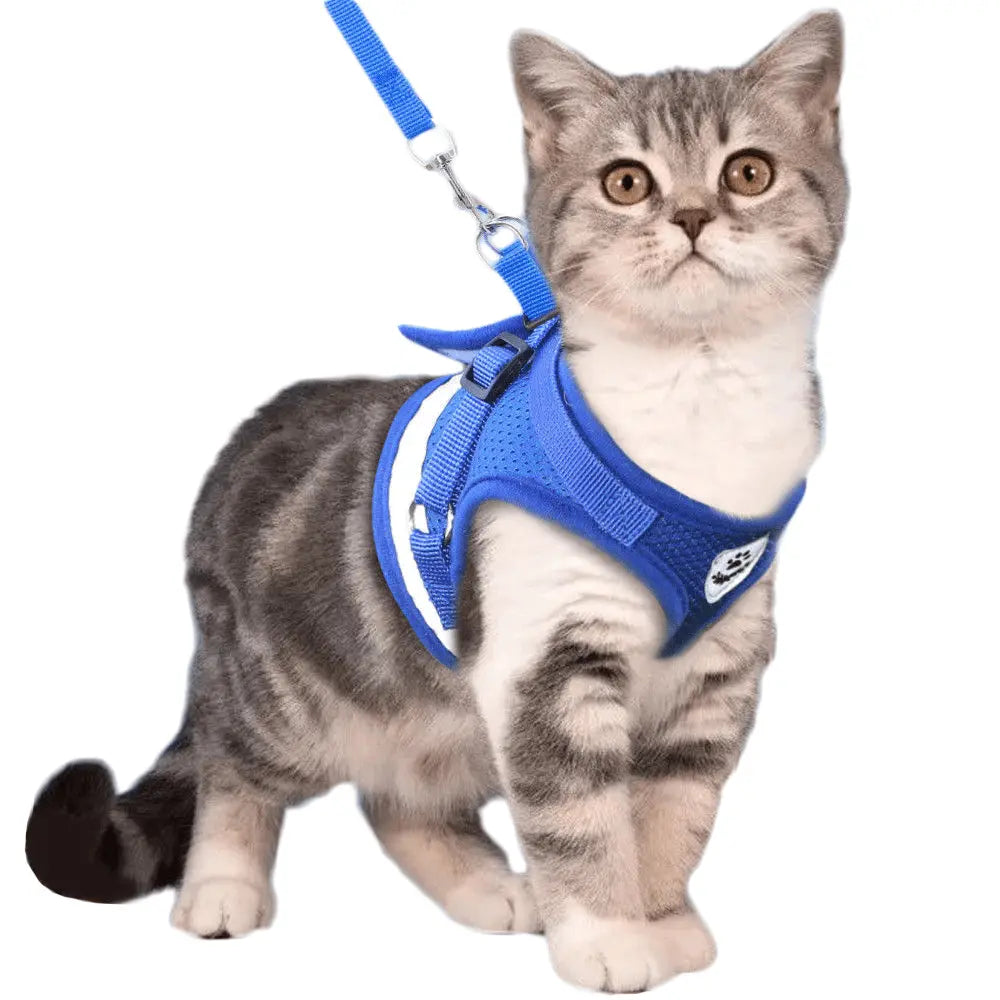Harnais pour chat avec bande luminescente de sécurité Au bonheur du chat - Boutique d'accessoires pour votre chat