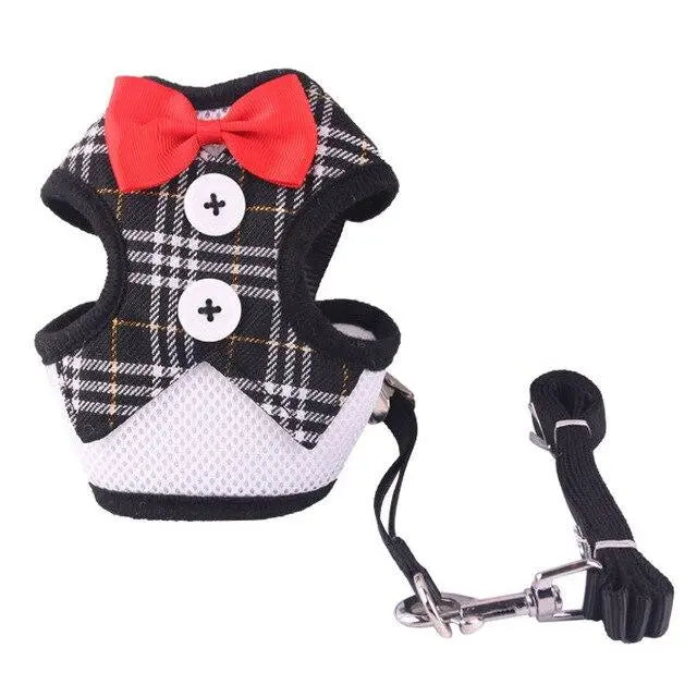 Harnais pour chat classe harnais pour chat Au bonheur du chat - Boutique d'accessoires pour votre chat Carrolé M 