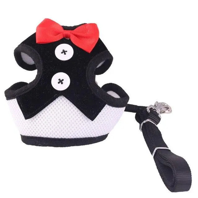 Harnais pour chat classe harnais pour chat Au bonheur du chat - Boutique d'accessoires pour votre chat Noir L 