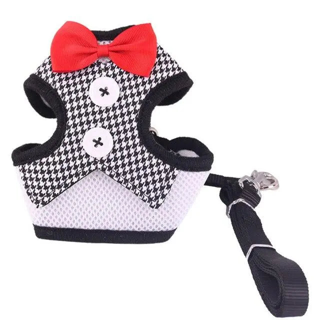 Harnais pour chat classe harnais pour chat Au bonheur du chat - Boutique d'accessoires pour votre chat Noir/Blanc S 