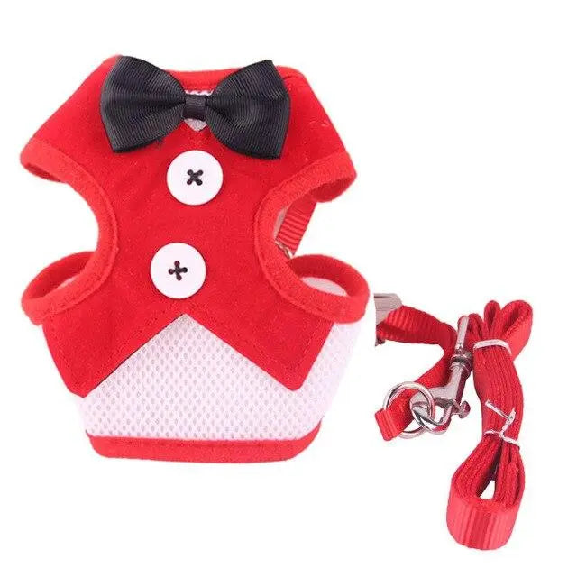 Harnais pour chat classe harnais pour chat Au bonheur du chat - Boutique d'accessoires pour votre chat Rouge M 