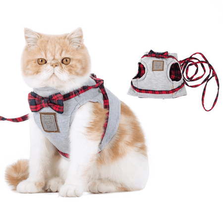 Harnais pour chat harnais pour chat Au bonheur du chat - Boutique d'accessoires pour votre chat 