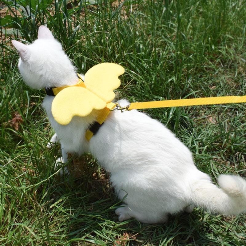 Harnais pour chat "Petit Ange" harnais pour chat Au bonheur du chat - Boutique d'accessoires pour votre chat 