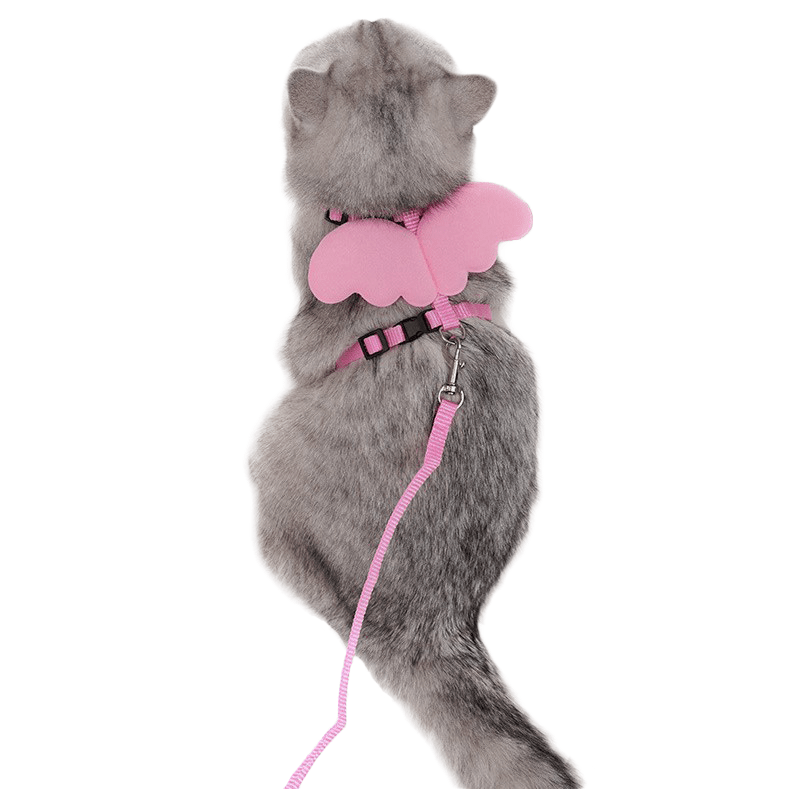 Harnais pour chat "Petit Ange" harnais pour chat Au bonheur du chat - Boutique d'accessoires pour votre chat 