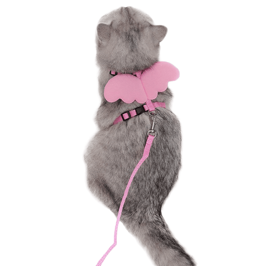 Harnais pour chat "Petit Ange" harnais pour chat Au bonheur du chat - Boutique d'accessoires pour votre chat 