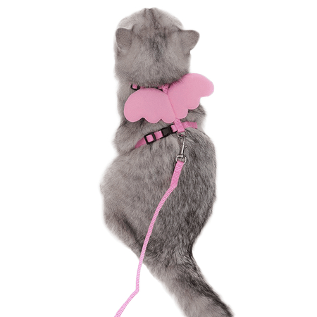Harnais pour chat 
