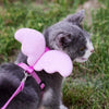 Harnais pour chat "Petit Ange" harnais pour chat Au bonheur du chat - Boutique d'accessoires pour votre chat 