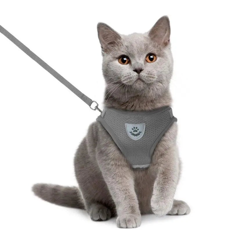 Harnais pour chat avec bande luminescente de sécurité Au bonheur du chat - Boutique d'accessoires pour votre chat