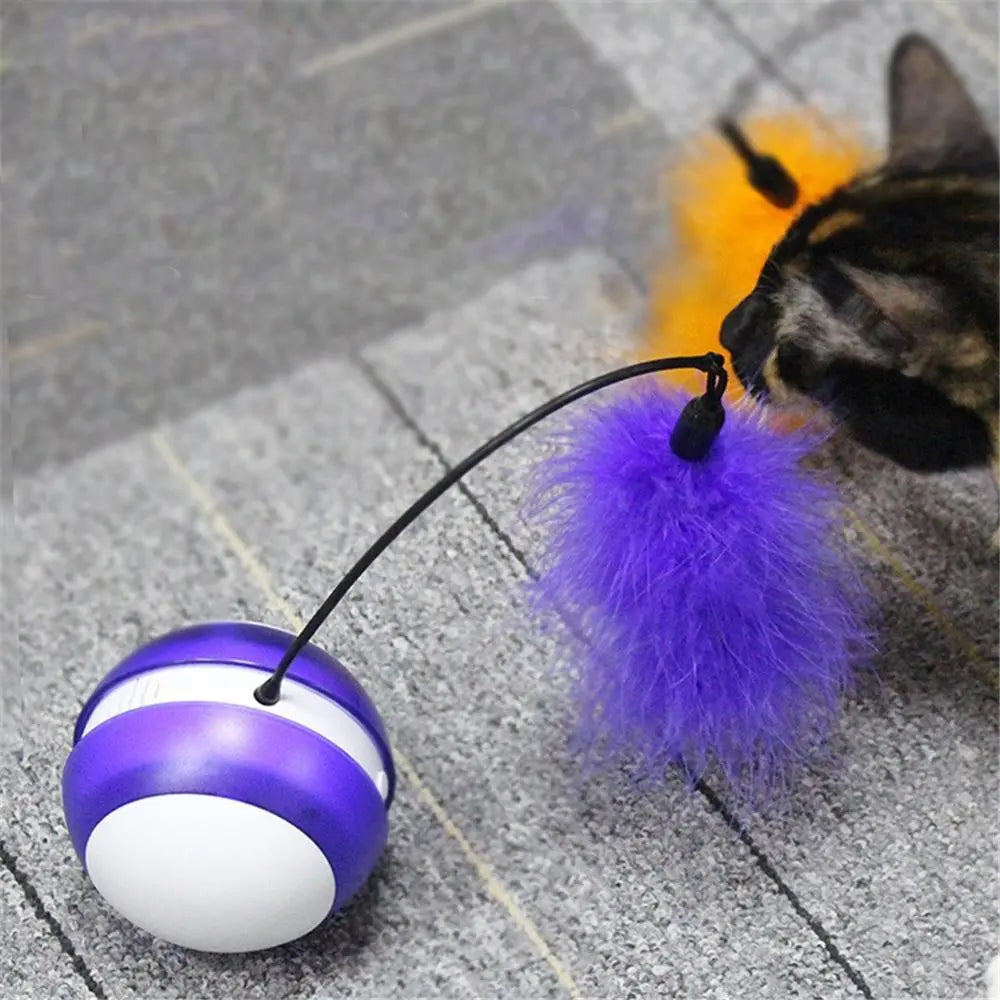 Jouet électrique pour chat "Attrape-moi" accessoires chat Au bonheur du chat - Boutique d'accessoires pour votre chat 