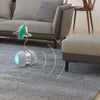 jouet interactif intelligent pour chat avec LED au bonheur du chat