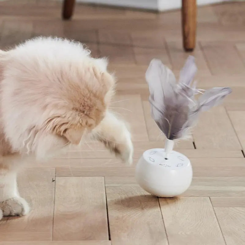 Jouet électrique pour chat "Flèche de plume" accessoires chat Au bonheur du chat - Boutique d'accessoires pour votre chat 