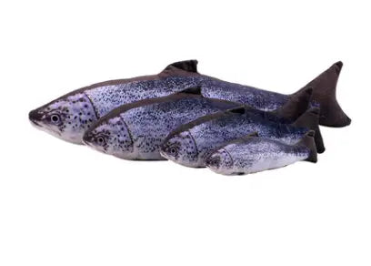 Jouet pour chat "Poisson" accessoires chat Au bonheur du chat - Boutique d'accessoires pour votre chat Variante 1 60cm 