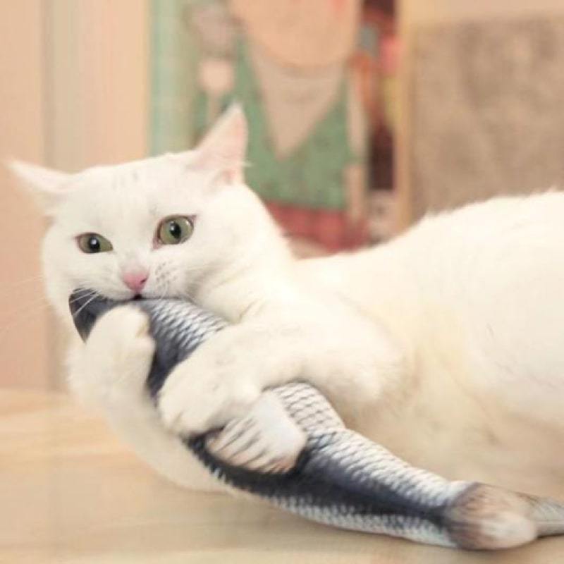 Jouet pour chat "Poisson Gigoteur" accessoires chat Au bonheur du chat - Boutique d'accessoires pour votre chat 