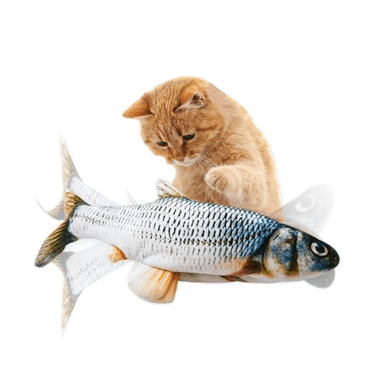 Jouet poisson interactif pour chat - Petits Compagnons
