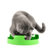 Jouet pour chat "Souris tournante" accessoires chat Au bonheur du chat - Boutique d'accessoires pour votre chat 