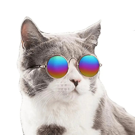 Lunettes pour chat "Sunny" accessoires chat Au bonheur du chat - Boutique d'accessoires pour votre chat 