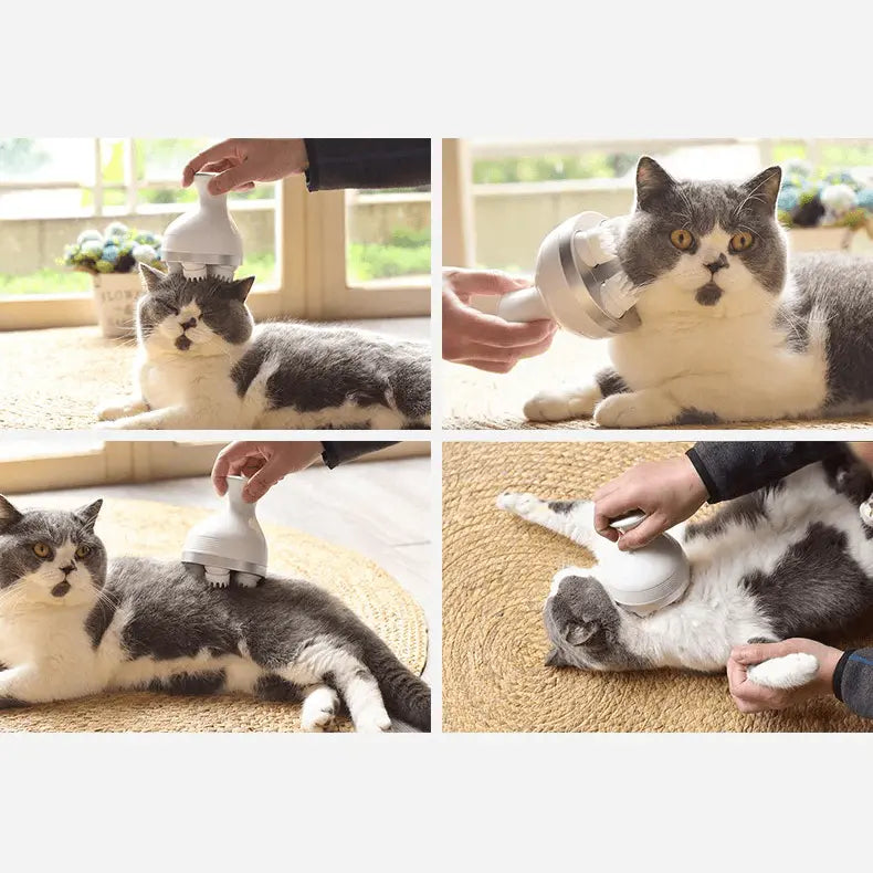 Masseur pour chat "CatRelax™" masseur pour chat Au bonheur du chat - Boutique d'accessoires pour votre chat 