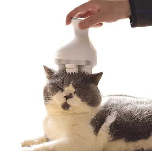 Masseur pour chat CatRelax™ masseur pour chat Au bonheur du chat - Boutique d'accessoires pour votre chat 