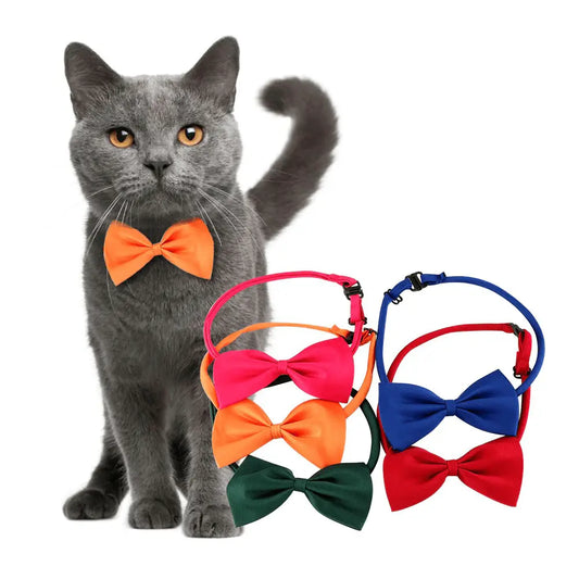 Noeud papillon pour chat accessoires chat Au bonheur du chat - Boutique d'accessoires pour votre chat 