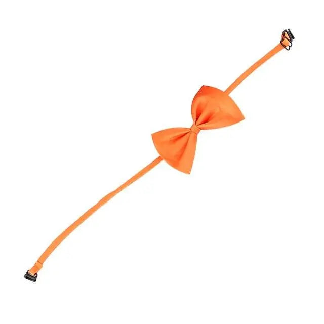 Noeud papillon pour chat accessoires chat Au bonheur du chat - Boutique d'accessoires pour votre chat Orange 