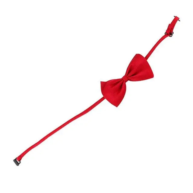 Noeud papillon pour chat accessoires chat Au bonheur du chat - Boutique d'accessoires pour votre chat Rouge 