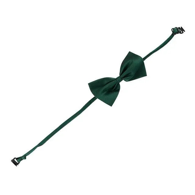 Noeud papillon pour chat accessoires chat Au bonheur du chat - Boutique d'accessoires pour votre chat Vert 