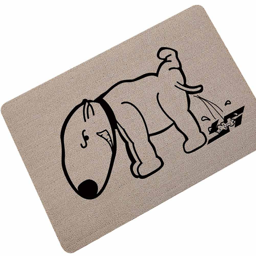 Paillasson divers chat accessoires chat Au bonheur du chat - Boutique d'accessoires pour votre chat Variante 13 40x60cm 