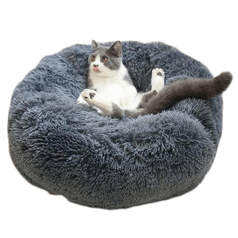 Coussin panier chat chien ultra confortable anti-stress - NOS 4 PATTES –  Nos 4 pattes