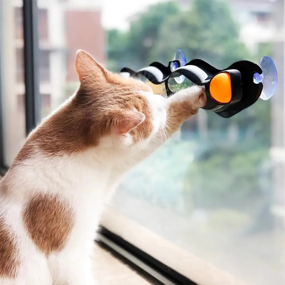 Pet Cat Funny Ball Toy Sucker Windows Cat Toy Play Pipe With Balls Cat Toy Track Play Tunnel Pet Toys Products accessoires chat Au bonheur du chat - Boutique d'accessoires pour votre chat 