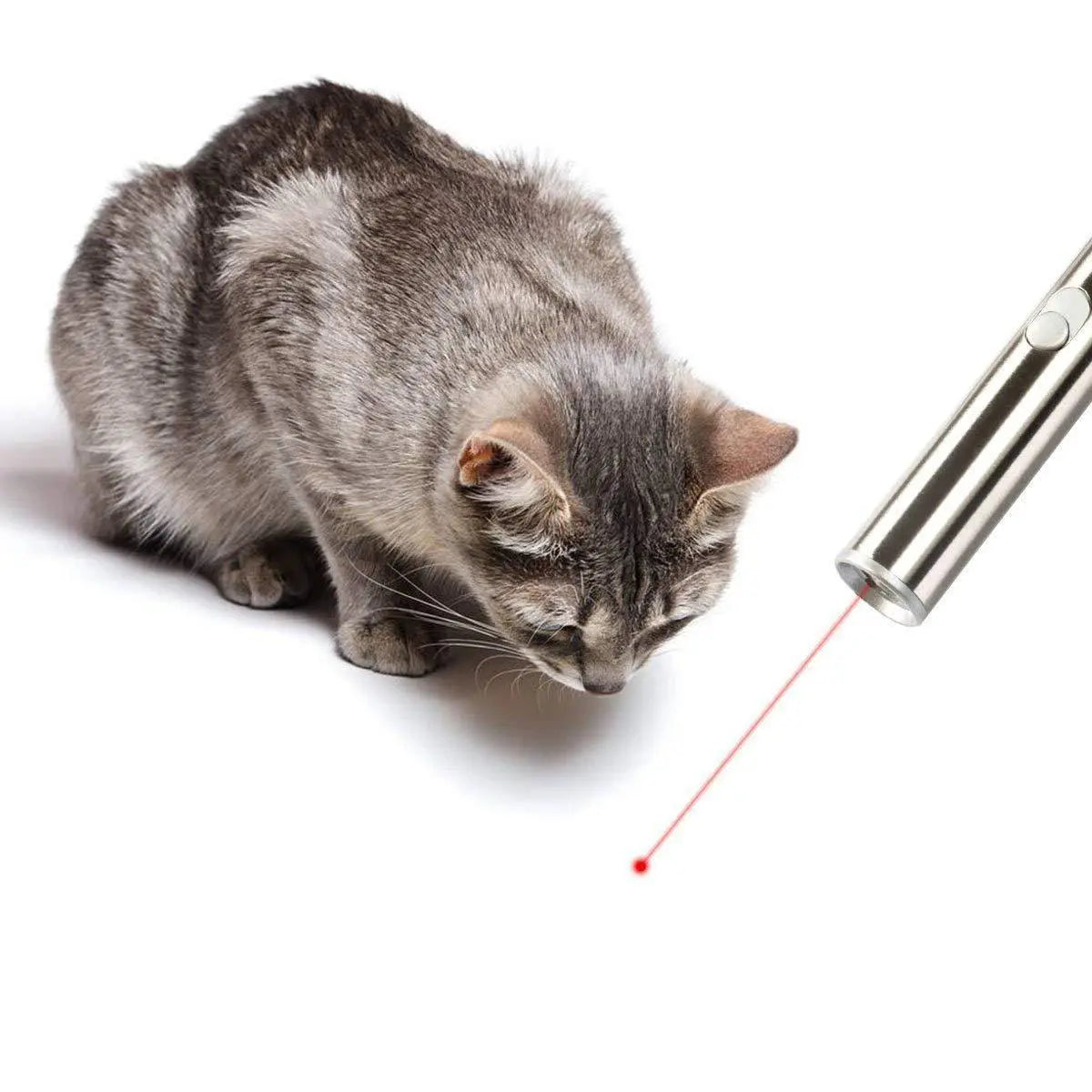 Pointeur laser 2-en-1 pour chat avec lampe