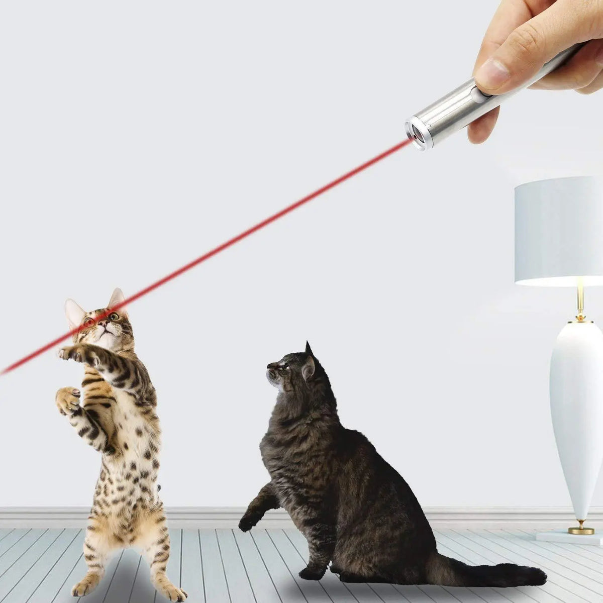 Pointeur laser 2-en-1 pour chat avec lampe