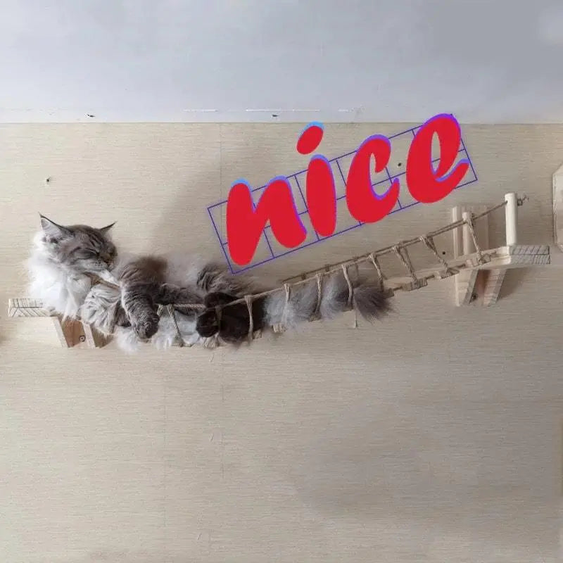 Pont mural pour chat hamac pour chat Au bonheur du chat - Boutique d'accessoires pour votre chat 