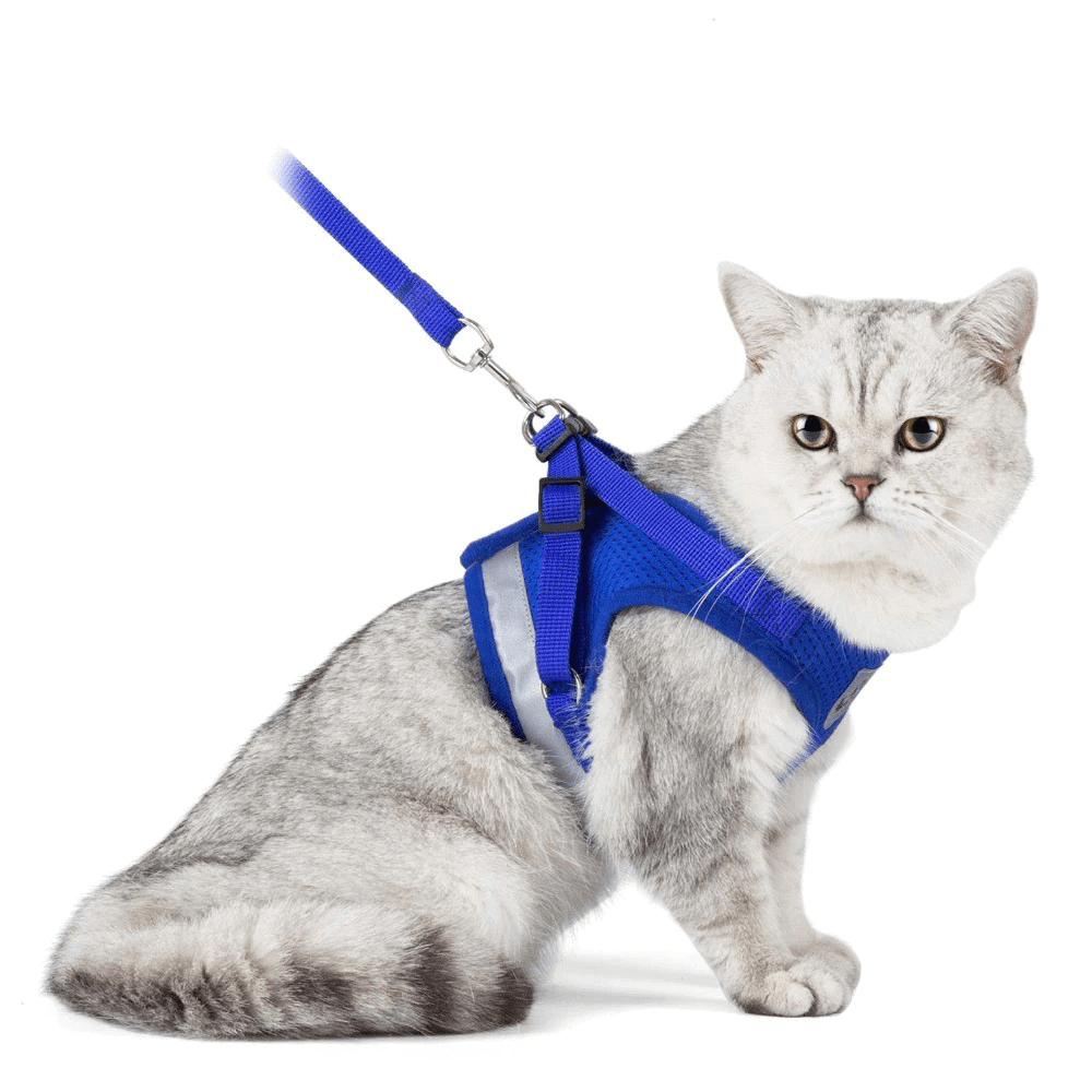 Harnais pour chat NO ESCAPE mesh motif camouflage bleu